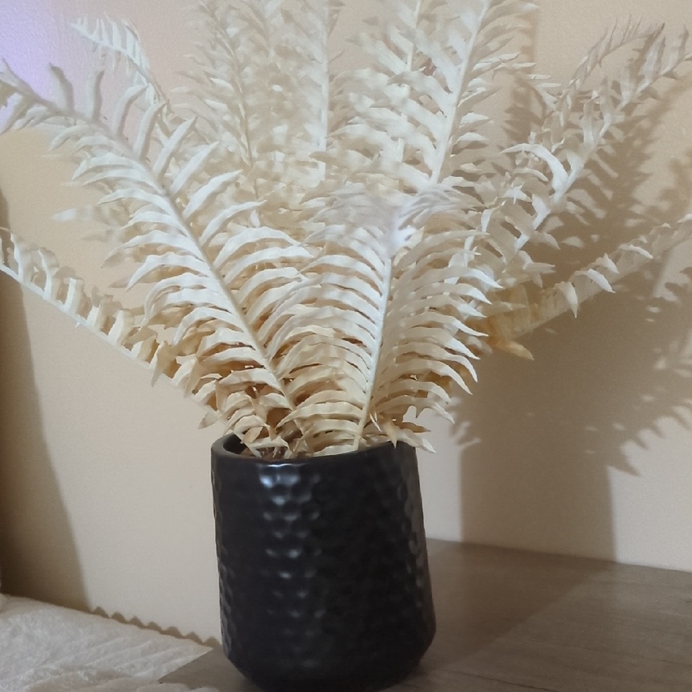 Sophisticated Cream Fern in Textured Black Vase
